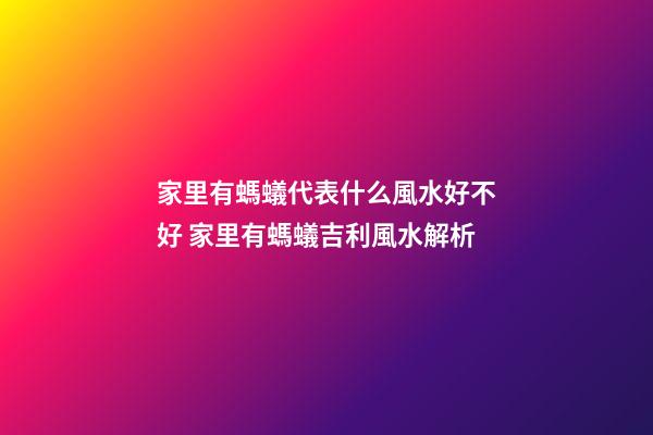 家里有螞蟻代表什么風水好不好 家里有螞蟻吉利風水解析